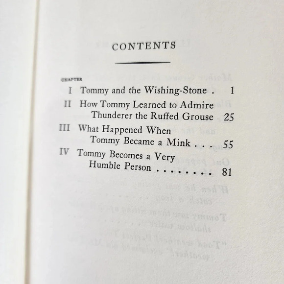 Vintage 1920s Hardcover Storybook Tommy  and the Wishing Stone Illustrated - Picture 10 of 15
